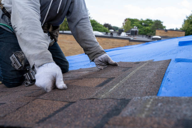 Best Residential Roofing Contractor  in South Windham, CT